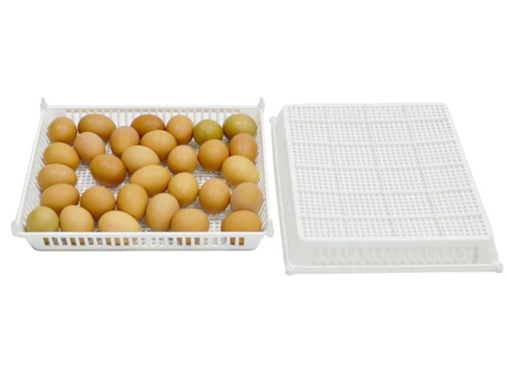 Obrázek k výrobku 125478 - Košík na vylíhnutí vajec CIMUKA CS30