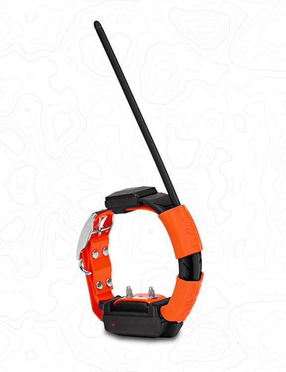 Obrázek k výrobku 75571 - Obojek pro dalšího psa DOG GPS X30T - Oranžová