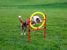 Obrázek k výrobku 125172 - Agility překážky pro psy KERBL 80758, set 3 typy