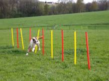 Obrázek k výrobku 125172 - Agility překážky pro psy KERBL 80758, set 3 typy