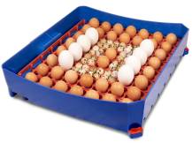 Obrázek k výrobku 125186 - Automatická líheň na vejce BOROTTO LUMIA 56 AUTOMATIC