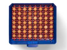 Obrázek k výrobku 125186 - Automatická líheň na vejce BOROTTO LUMIA 56 AUTOMATIC