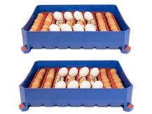 Obrázek k výrobku 125186 - Automatická líheň na vejce BOROTTO LUMIA 56 AUTOMATIC