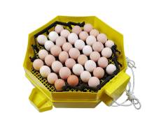 Obrázek k výrobku 125192 - Automatická líheň na vejce CLEO 5x2 DTH AUTOMATIC