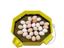 Obrázek k výrobku 125192 - Automatická líheň na vejce CLEO 5x2 DTH AUTOMATIC