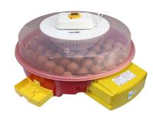 Obrázek k výrobku 125198 - Automatická líheň na vejce PUISOR IO-104A AUTOMATIC