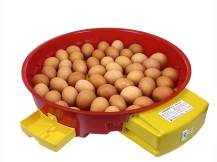 Obrázek k výrobku 125198 - Automatická líheň na vejce PUISOR IO-104A AUTOMATIC