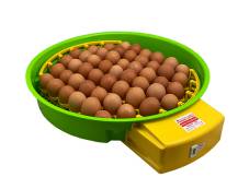 Obrázek k výrobku 125199 - Automatická líheň na vejce PUISOR IO-204 AUTOMATIC