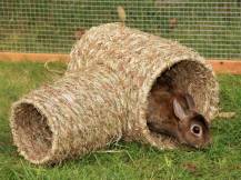 Obrázek k výrobku 125269 - Domek pro králíky, tunel z trávy KERBL 82762, 24x30x24 cm