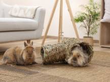 Obrázek k výrobku 125269 - Domek pro králíky, tunel z trávy KERBL 82762, 24x30x24 cm