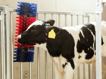 Obrázek k výrobku 125270 - Drbadlo kartáčové, půlkulaté KERBL 293100, 22x50x9cm