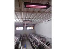 Obrázek k výrobku 125354 - Infrazářič závěsný SYNER LCA 1000 W pro farmy, restaurace, domácnosti