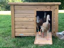 Obrázek k výrobku 125376 - Kachník KERBL 82809 DUCK TOWN