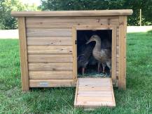 Obrázek k výrobku 125376 - Kachník KERBL 82809 DUCK TOWN