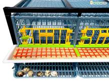 Obrázek k výrobku 125400 - Klec pro křepelky CIMUKA BYK-03-1K