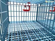 Obrázek k výrobku 125400 - Klec pro křepelky CIMUKA BYK-03-1K