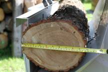 IMG_0838_resize