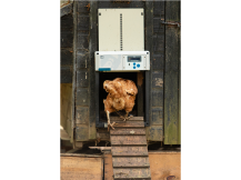 Obrázek k výrobku 126291 - Komplet automatického otevírání a zavírání kurníku CHICKEN GUARD ALL IN ONE