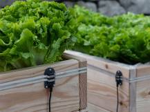 Obrázek k výrobku 125466 - Konektor k propojení záhonů k ohradníku KERBL 291126 SNAILSTOP, 2,5m