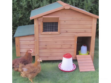 Obrázek k výrobku 125503 - Kurník pro slepice GAUN 10215 BERLIN