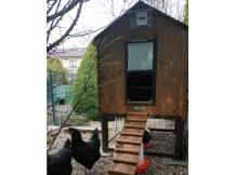 Obrázek k výrobku 119889 - Kurník pro slepice POLLY CLASSIC 2XL