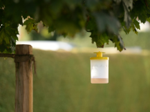 Obrázek k výrobku 126387 - Lapač much včetně návnady KERBL CIT FLYCAGE3