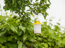 Obrázek k výrobku 126387 - Lapač much včetně návnady KERBL CIT FLYCAGE3