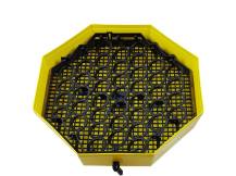 Obrázek k výrobku 125535 - Líheň na vejce CLEO 5 DTH