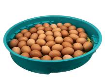 Obrázek k výrobku 125544 - Líheň na vejce PUISOR IO-103