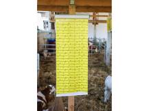 Obrázek k výrobku 125566 - Mucholapka se závěsem KERBL 299789 JUMBOXL, 40cm x 10m