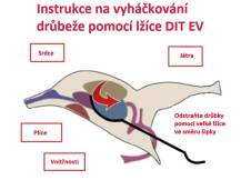 Obrázek k výrobku 125604 - Nerezová lžíce k vyvržení vnitřností SPIUMATRICE DIT EV