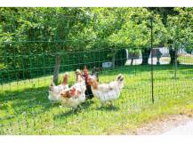 Obrázek k výrobku 125607 - Nevodivá síť pro drůbež KERBL 292279, 106 cm x 25 m / 2 hroty