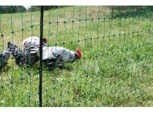 Obrázek k výrobku 125607 - Nevodivá síť pro drůbež KERBL 292279, 106 cm x 25 m / 2 hroty