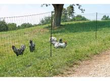 Obrázek k výrobku 125607 - Nevodivá síť pro drůbež KERBL 292279, 106 cm x 25 m / 2 hroty