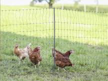 Obrázek k výrobku 125608 - Nevodivá síť pro drůbež KERBL 292411 PREMIUM, 122 cm x 50 m / 2 hroty