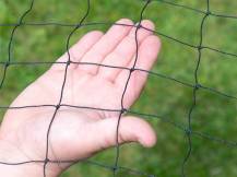 Obrázek k výrobku 125648 - Ochranná síť proti dravcům KERBL 73155, 10x10 m