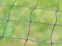 Obrázek k výrobku 125648 - Ochranná síť proti dravcům KERBL 73155, 10x10 m