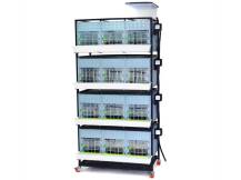 Obrázek k výrobku 125630 - Odchovna drůbeže CIMUKA CB40-03-4K