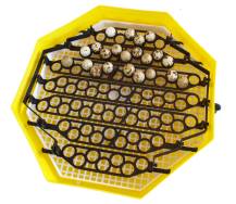 Obrázek k výrobku 125655 - Otočný rošt na křepelčí vejce pro líhně CLEO KŘEPELKA