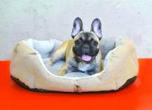 Obrázek k výrobku 72276 - PELÍŠEK Ben - 65 cm