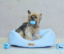 Obrázek k výrobku 72627 - Pelíšek DONY 55 cm