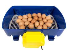 Obrázek k výrobku 125703 - Plně automatická líheň na vejce BOROTTO REAL 24 EXPERT