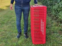 Obrázek k výrobku 125763 - Přepravní box na živou drůbež CRATE MOD B2 - 95,5x57x32,5cm