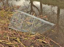 Obrázek k výrobku 125737 - Profesionální past na kuny a kočky  TRAP H80x34x34