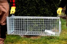 Obrázek k výrobku 125738 - Profesionální past na lišky, kuny a kočky TRAP ST102x34x34