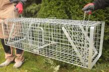 Obrázek k výrobku 125741 - Profesionální past na lišky, kuny, vydry a kočky TRAP H130x34x34V2