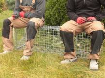 Obrázek k výrobku 125741 - Profesionální past na lišky, kuny, vydry a kočky TRAP H130x34x34V2