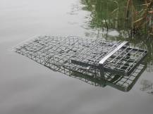 Obrázek k výrobku 125741 - Profesionální past na lišky, kuny, vydry a kočky TRAP H130x34x34V2