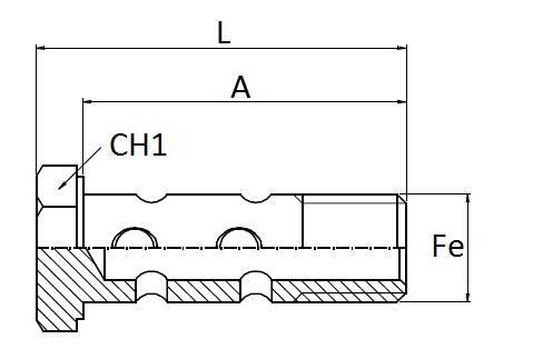 Specifikace - Průtokový šroub dvojitý  22x1,5 / 72 mm