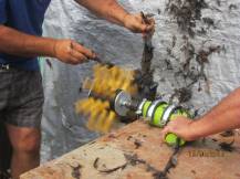 Obrázek k výrobku 125896 - Škubačka drůbeže na vrtačku JOSAS JO24